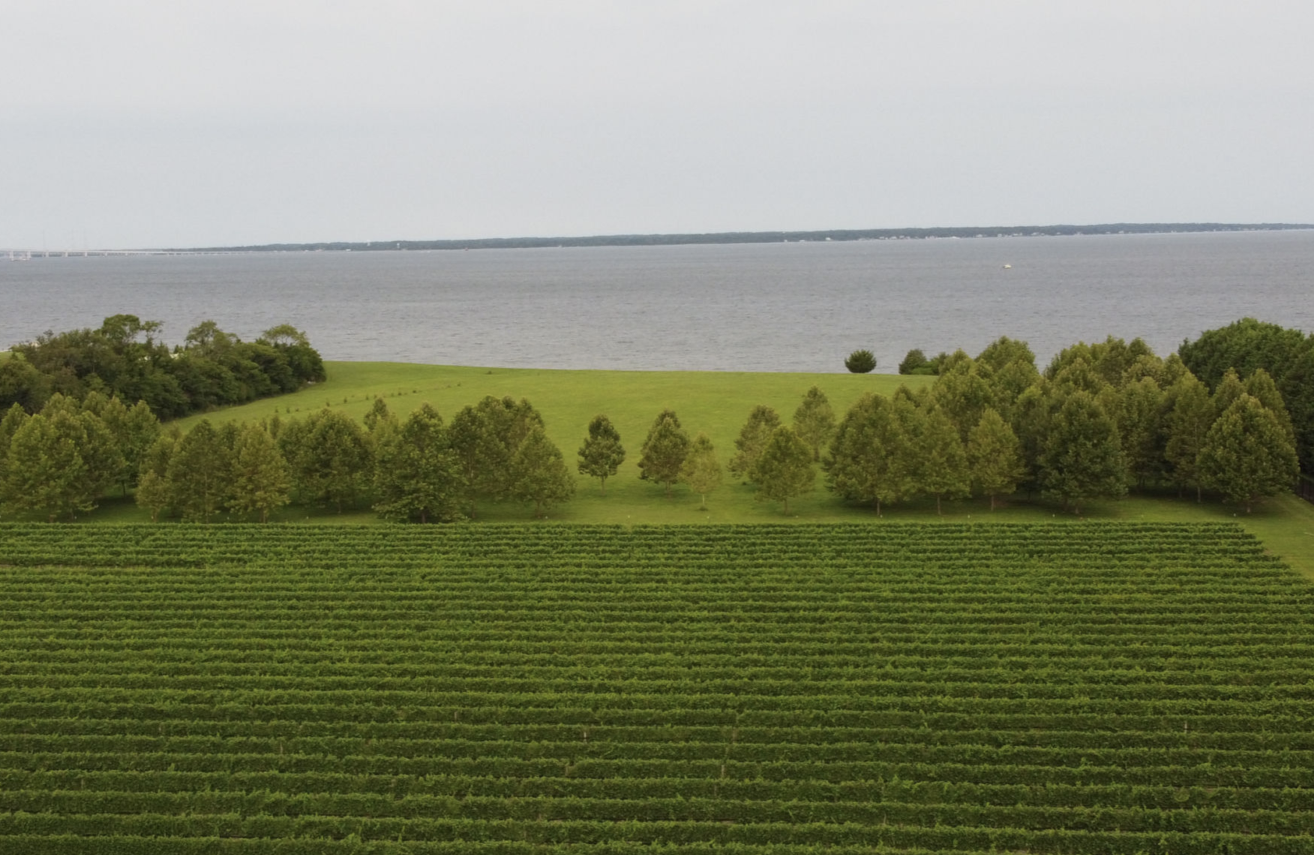 A photo of Kent Island Maryland showing a grassy field and view of the Chesapeake bay.