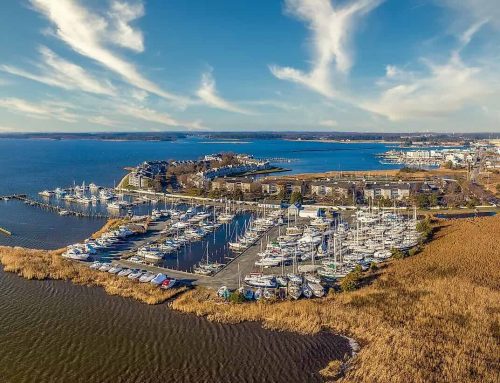 How Kent Island’s Weather and Climate Shape Maryland Wines