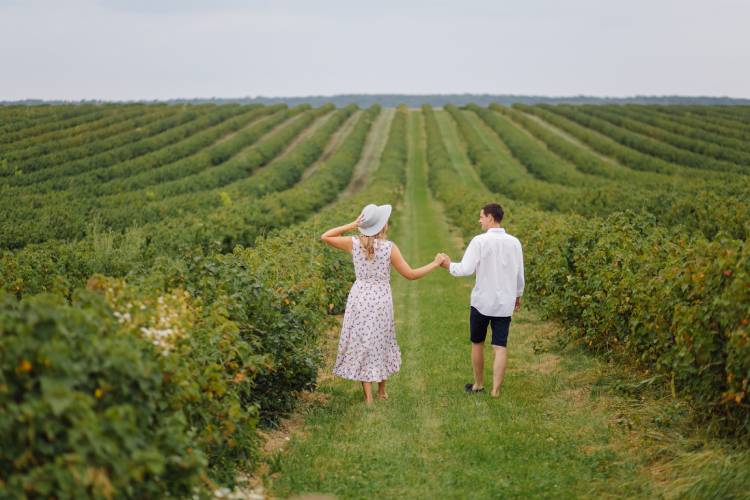 best vineyard in Maryland