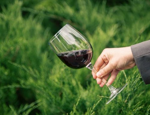 Estate Grown Wines Maryland: Discovering the Charm of Local Vineyards