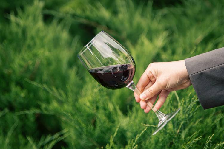 estate grown wines Maryland